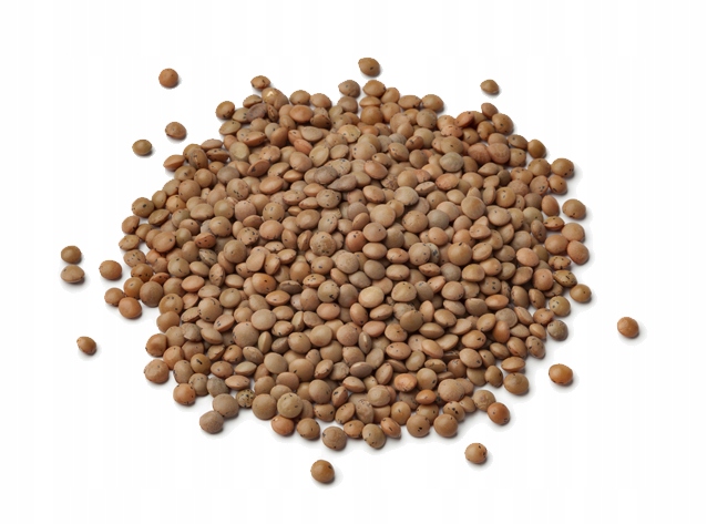 Soczewica, Eo 400G/240G