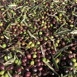 Oliwa Pomace Hiszpańska Kier PET 5l